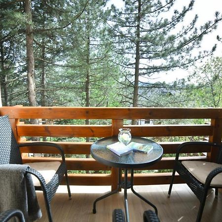 Apartman Silver Lux Zlatibor Buitenkant foto