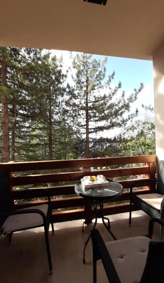 Apartman Silver Lux Zlatibor Buitenkant foto